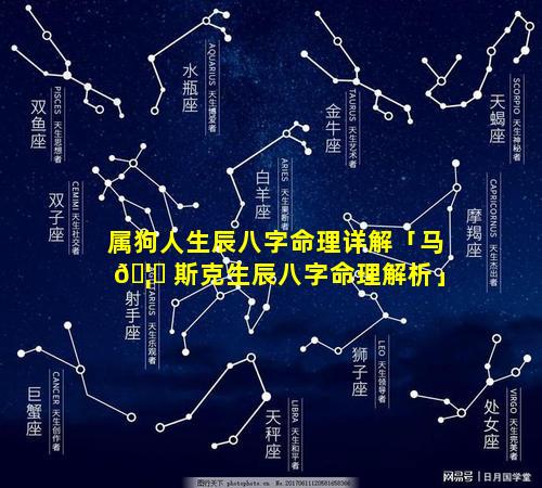 属狗人生辰八字命理详解「马 🦟 斯克生辰八字命理解析」